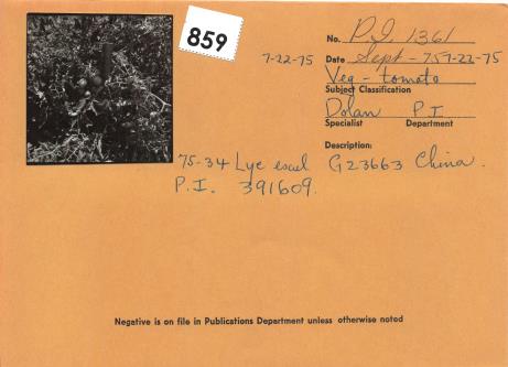 Click for 2 image(s) for this accession. Field